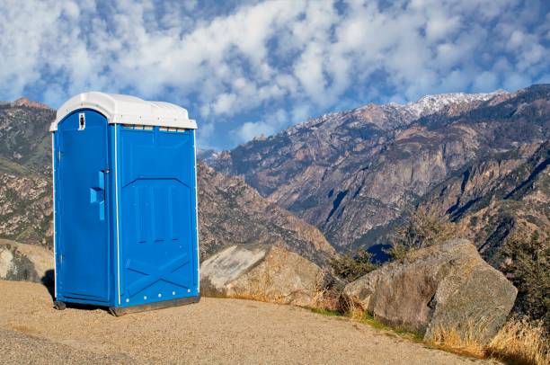 Best Portable bathroom rental  in Ashwaubenon, WI